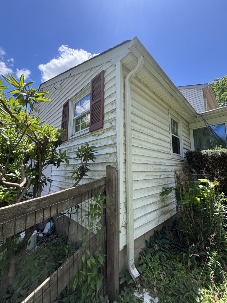 White wooden house exterior with mossy siding, maroon window shutters, and a white curved gutter along the roofline; overgrown greenery in the foreground.