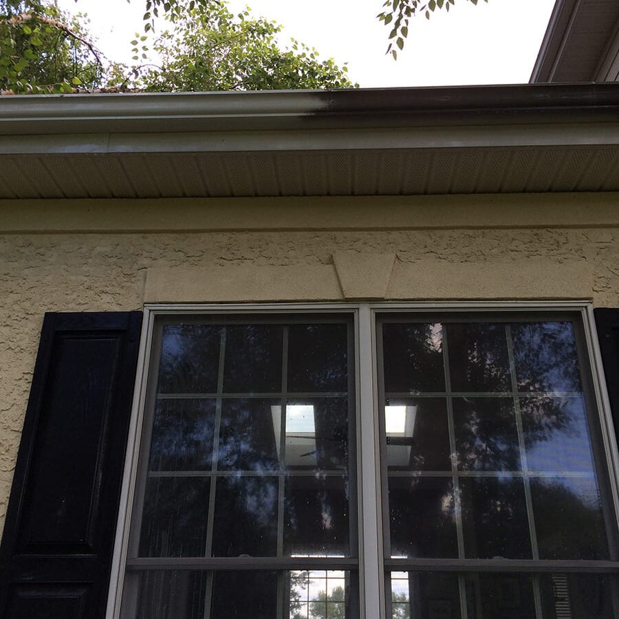 GUTTER CLEANING & WHITENING