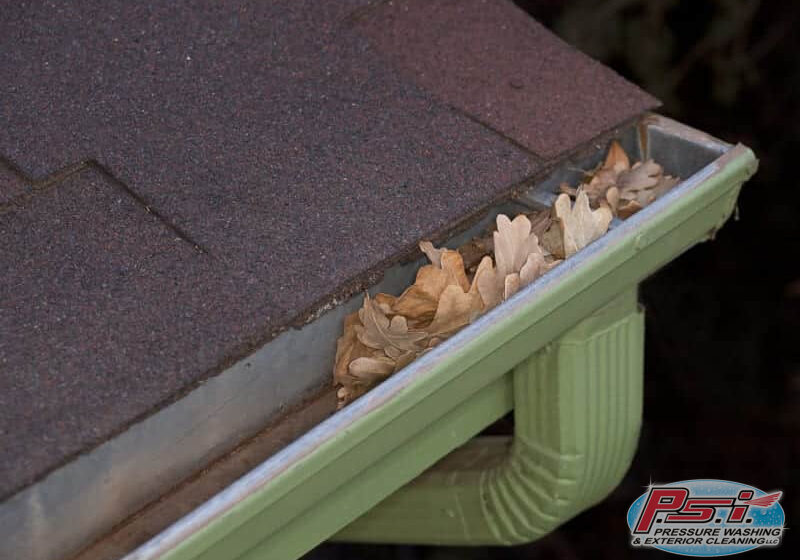 Clean Gutters During the Fall