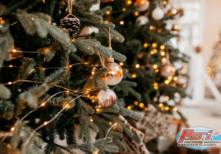 Close-up of a decorated Christmas tree with twinkling white fairy lights and various ornaments, including pine cones and spherical baubles, hanging from its branches. A second Christmas tree is visible in the background, enhancing the festive atmosphere. Happy Holidays!
