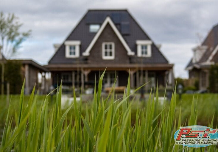 A sharp close-up of green grass blades in the foreground with a blurred background showing a large, modern house with a steep roof, white-framed windows, and a porch. During this time, the overcast sky creates a muted, calm atmosphere while subtly emphasizing the importance of house washing.