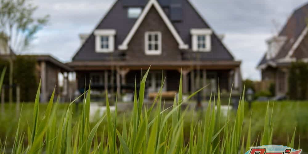 A sharp close-up of green grass blades in the foreground with a blurred background showing a large, modern house with a steep roof, white-framed windows, and a porch. During this time, the overcast sky creates a muted, calm atmosphere while subtly emphasizing the importance of house washing.