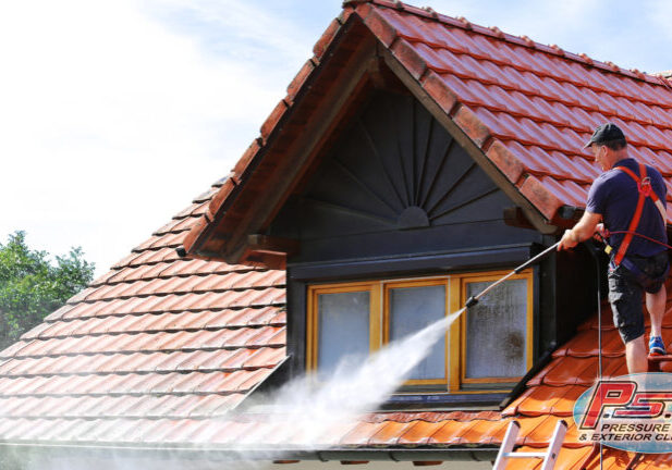 roof washing service