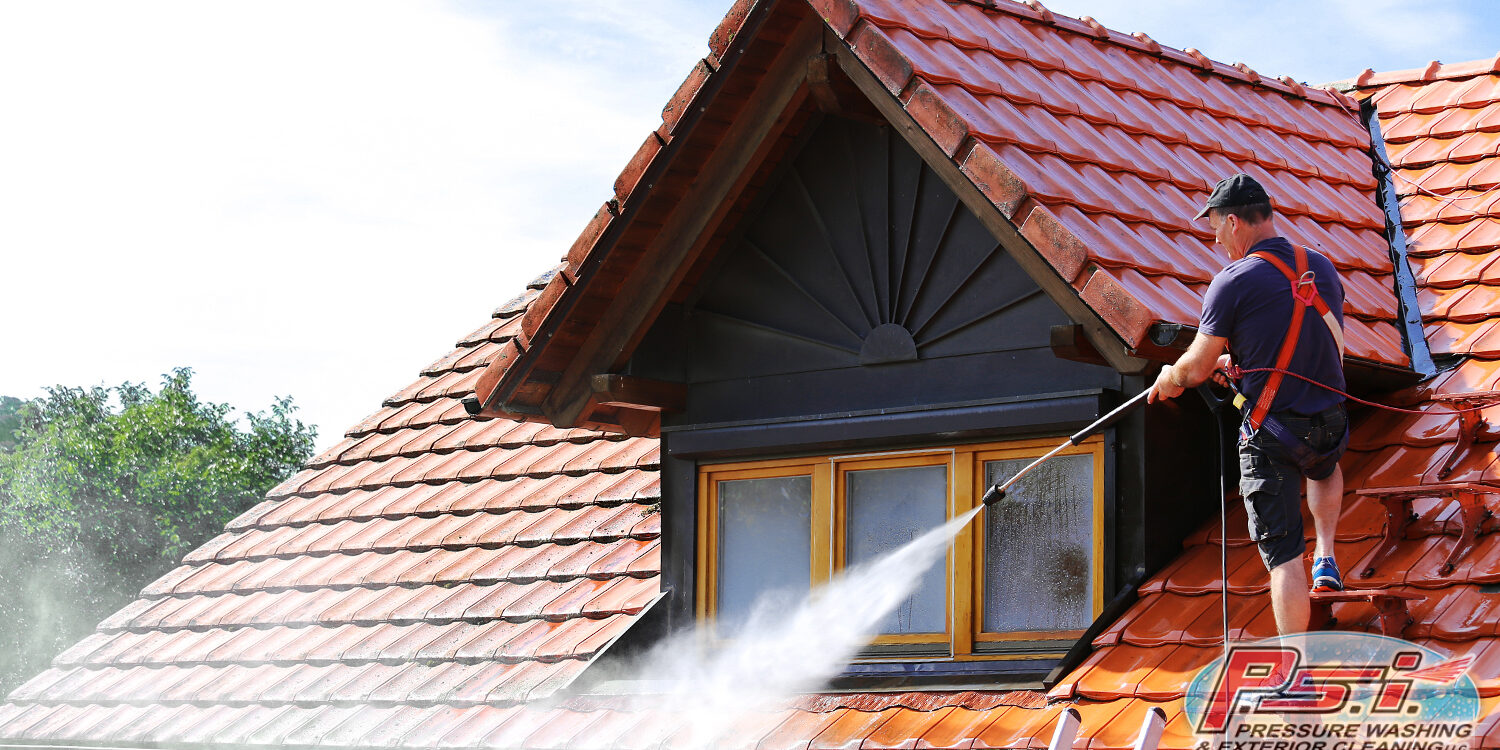 roof washing service